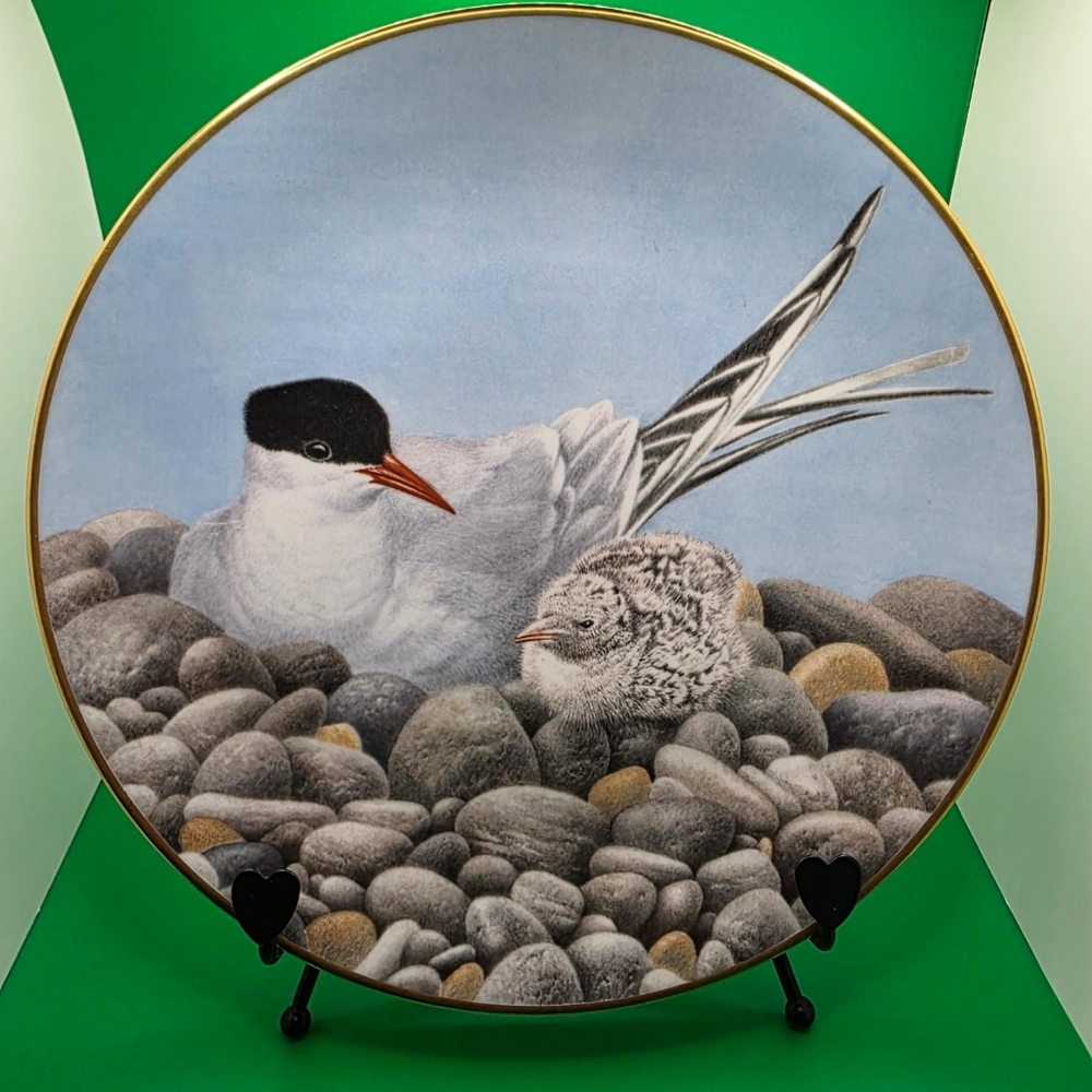 Bird-Themed Decorative PlateDanbury Mint Tern Collectors Plate The 12 Waterbird
